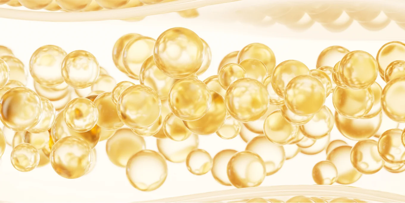 チューンボディレーザービジュアル