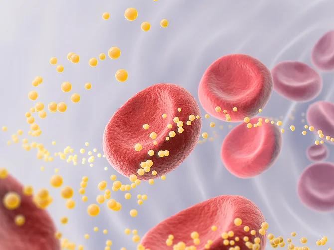 老廃物排出効果