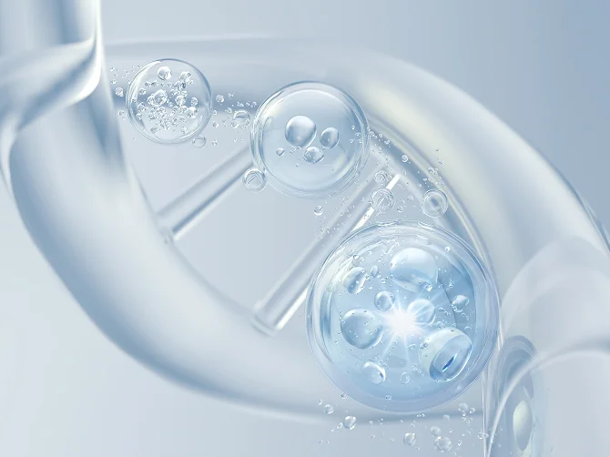 肌の弾力回復効果